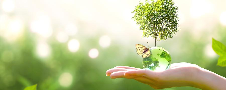 ¿Para qué sirve una Declaración Ambiental de Producto (DAP)?