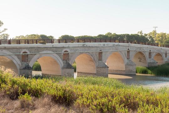 Puente de la Cartuja